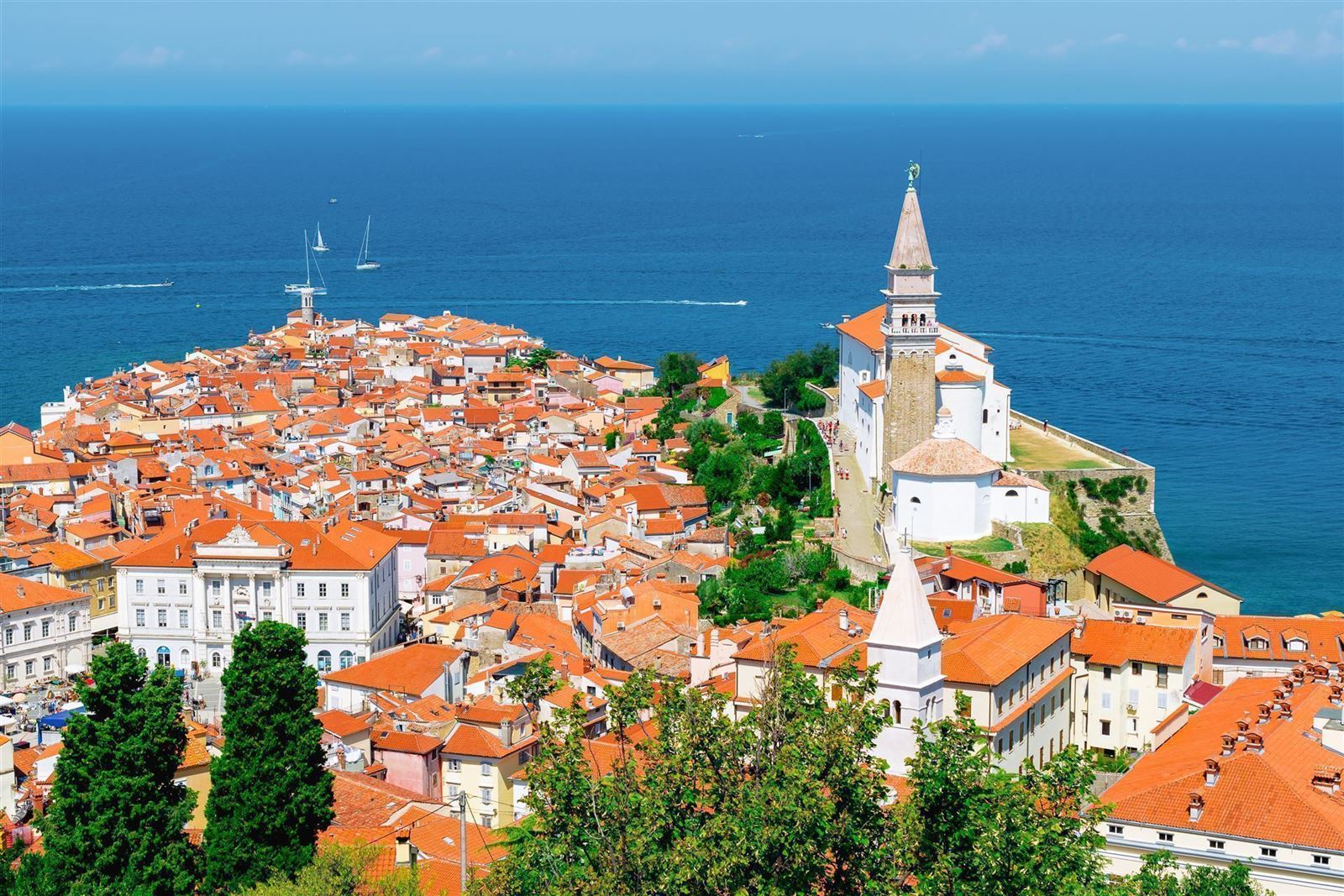 Blick auf die Stadt Piran